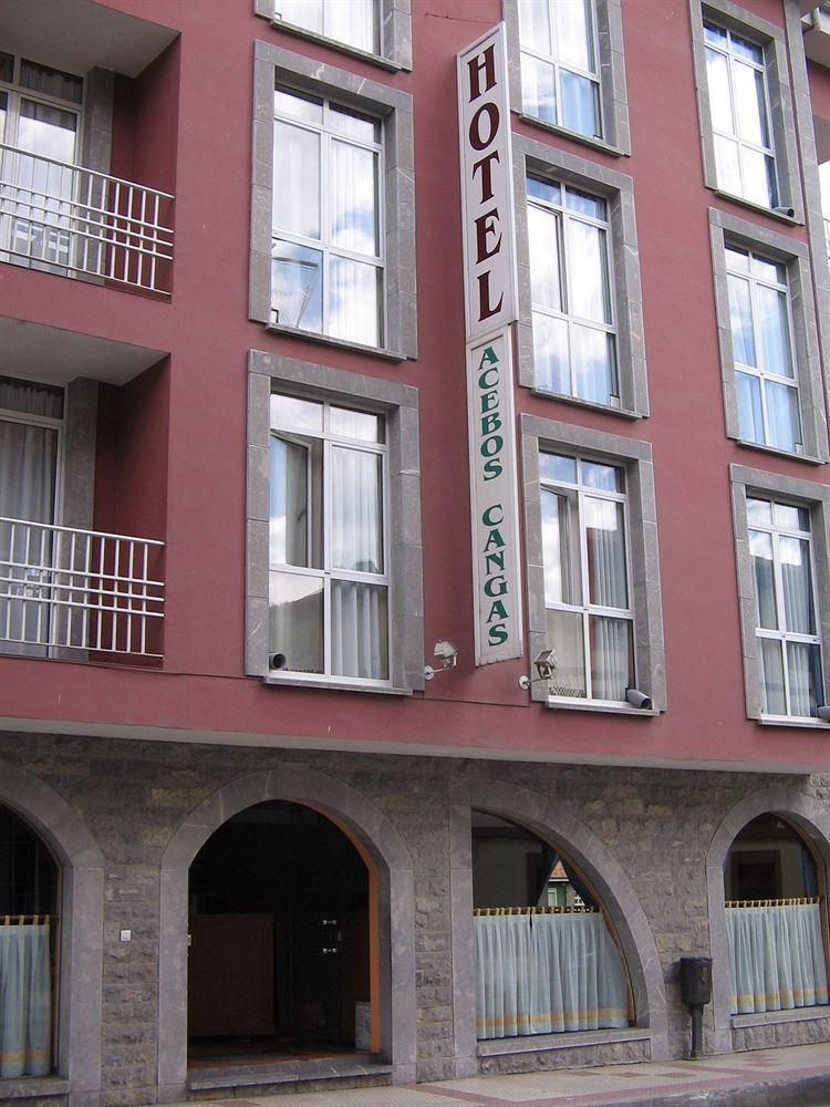 Los Acebos Cangas Cangas de Onis Exterior photo